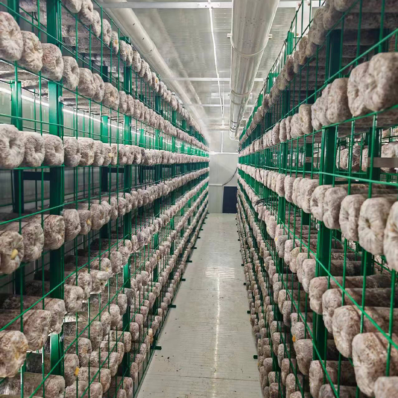 智慧方艙蘑菇房，助力鄉(xiāng)村振興農(nóng)民致富！